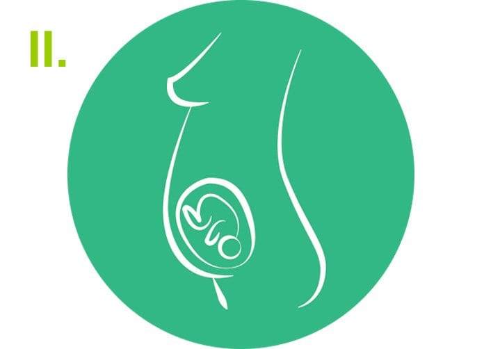 terhesség derékfájás második trimeszter a nők csípőbetegségének oka
