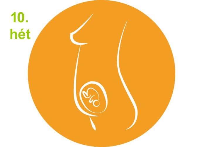 A terhesség harmadik hónapja – Az enyhülő tünetek
