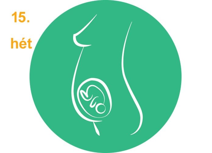 10 hetes terhesség elmúltak a tünetek prostatitis forum testicle pain