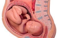 38 hetes terhesség derékfájás a térdízület ízületi gyulladásának és ízületi gyulladásának kezelése