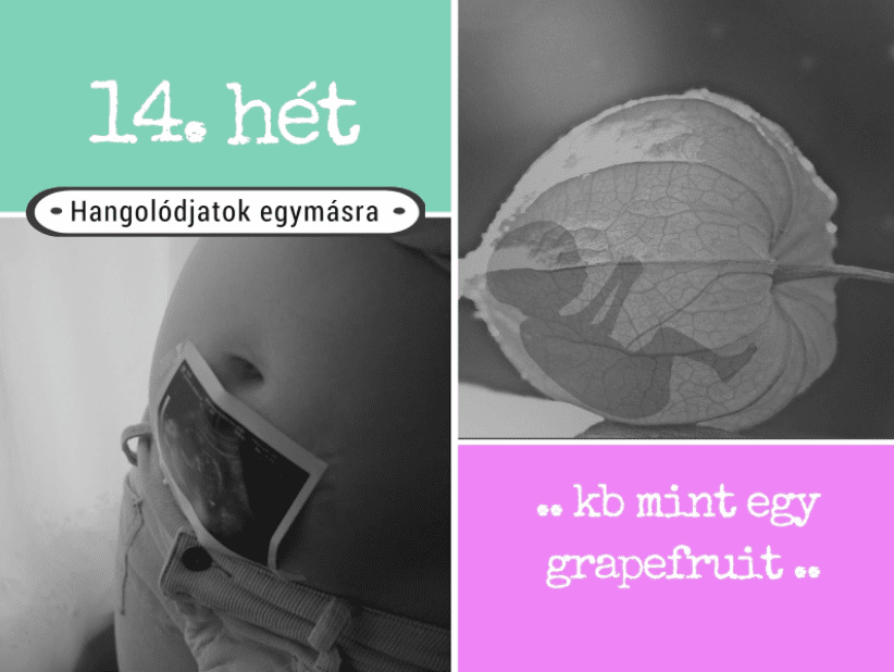 terhesség-14-pepitablog